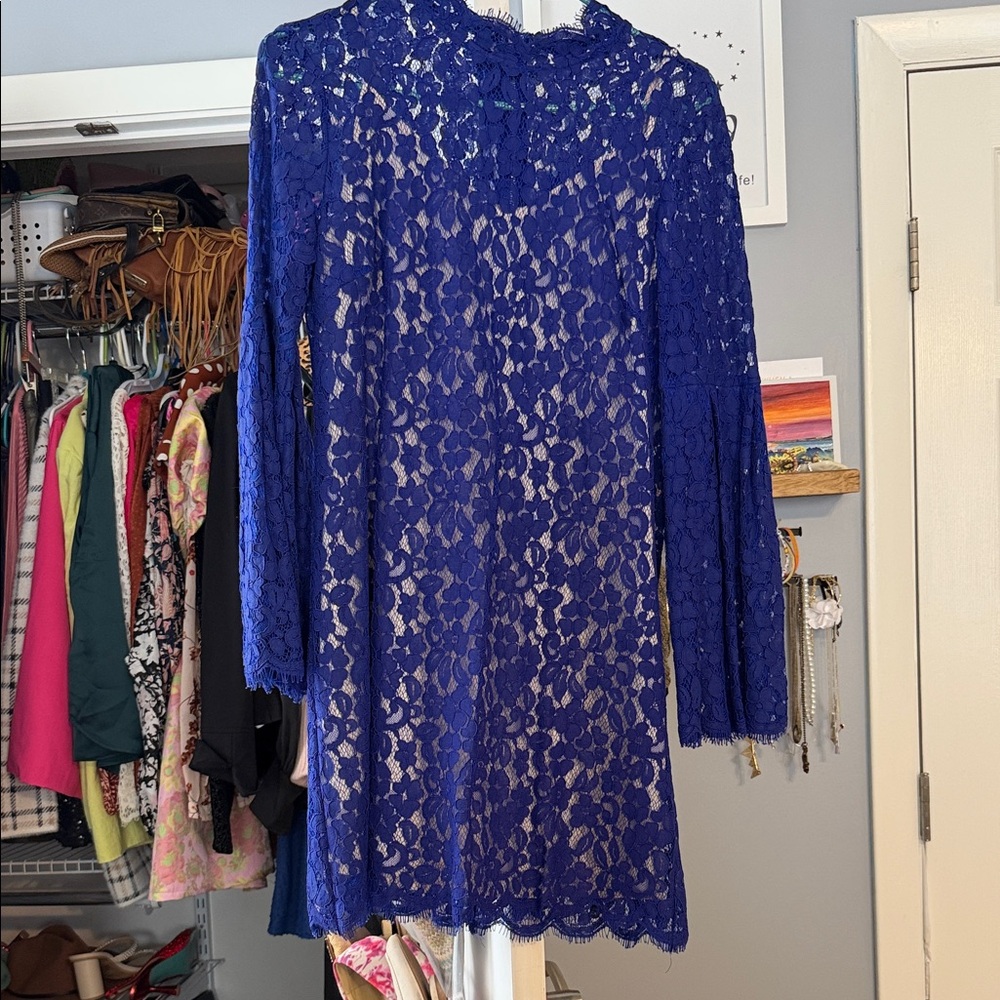 Endless Rose Blue Lace Mini Dress
